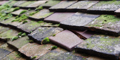 Elim roof repair costs